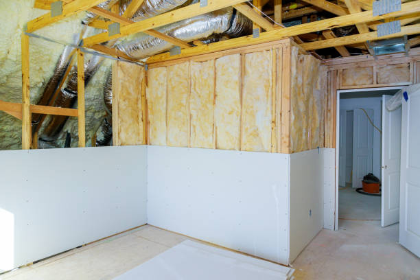 Best Insulation Removal  in Maryville, TN