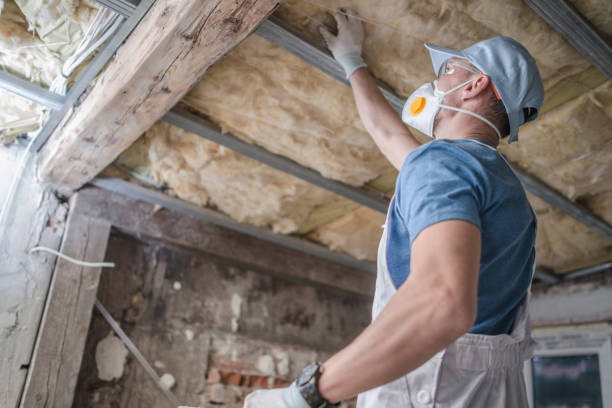 Professional Insulation Contractor in Maryville, TN