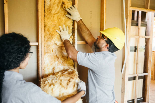 Best Attic Insulation Installation  in Maryville, TN