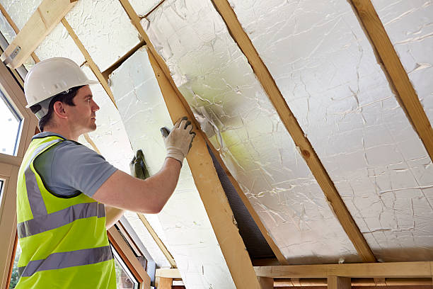 Best Insulation Replacement Services  in Maryville, TN